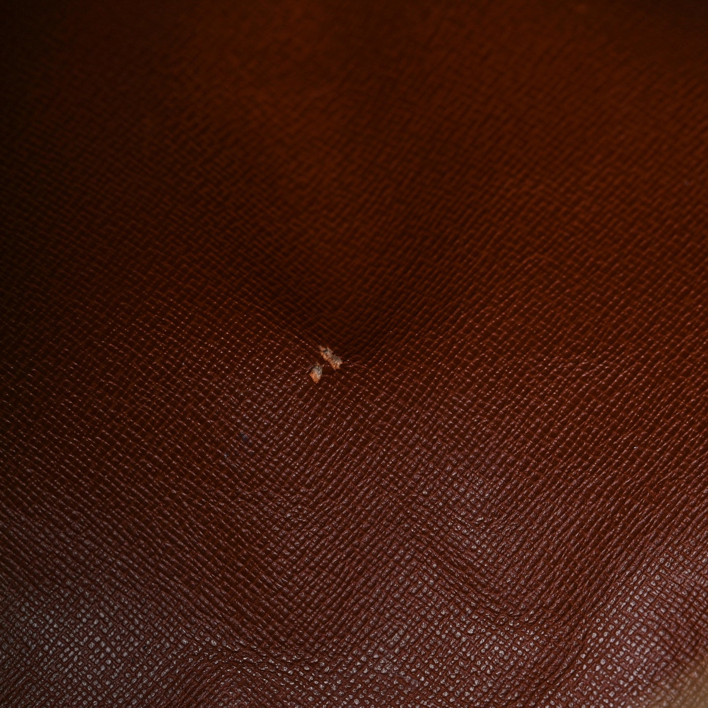 Monogram Papillon 30 with Companion