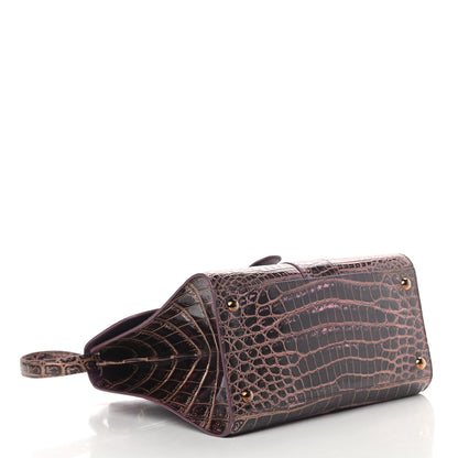 Delvaux Metallic Crocodile MM Brillant Satchel Plum Lavender 4 of 10