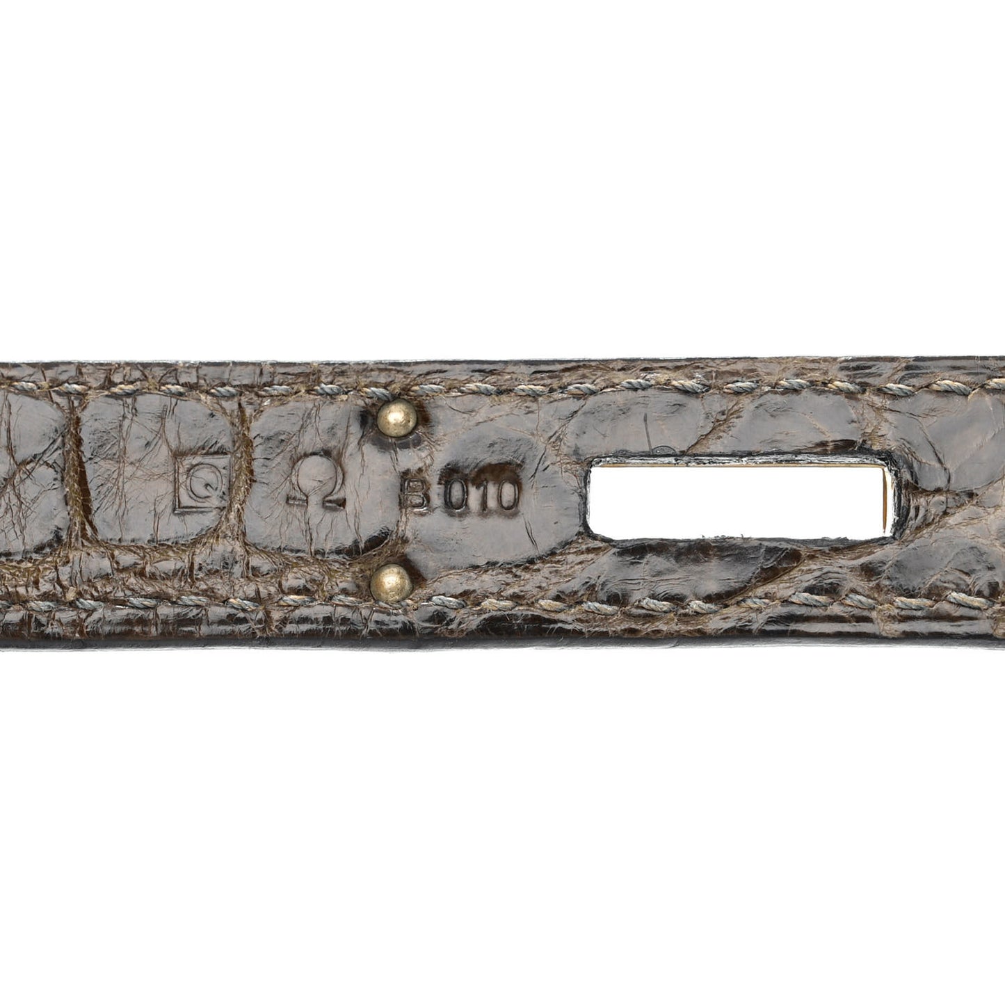 Shiny Porosus Crocodile Birkin 30 Graphite