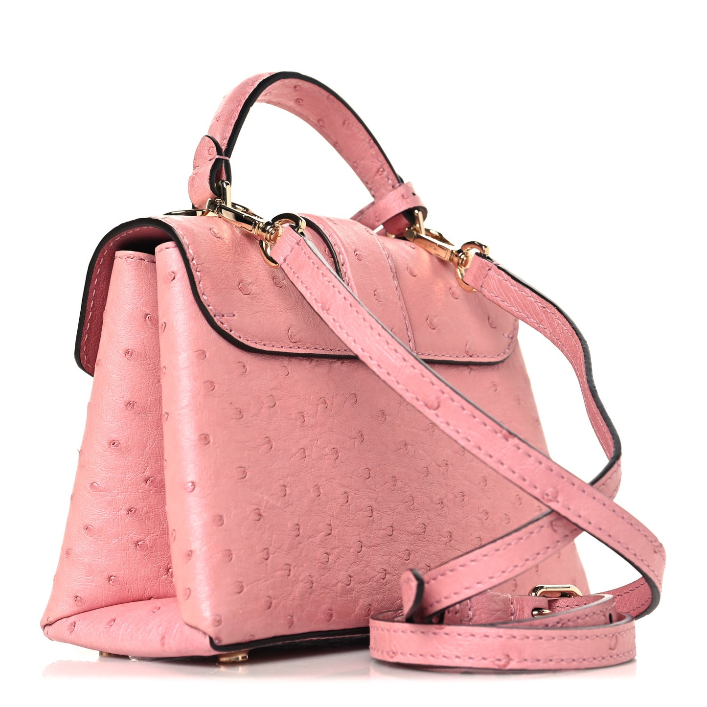 Ostrich Rose Des Vents Mini Pink