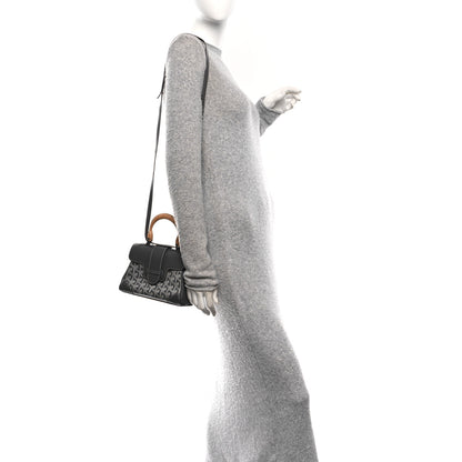 Goyard Goyardine Mini Saigon Grey 2 of 9