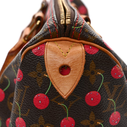 Louis Vuitton Monogram Cerises Speedy 25 11 of 11