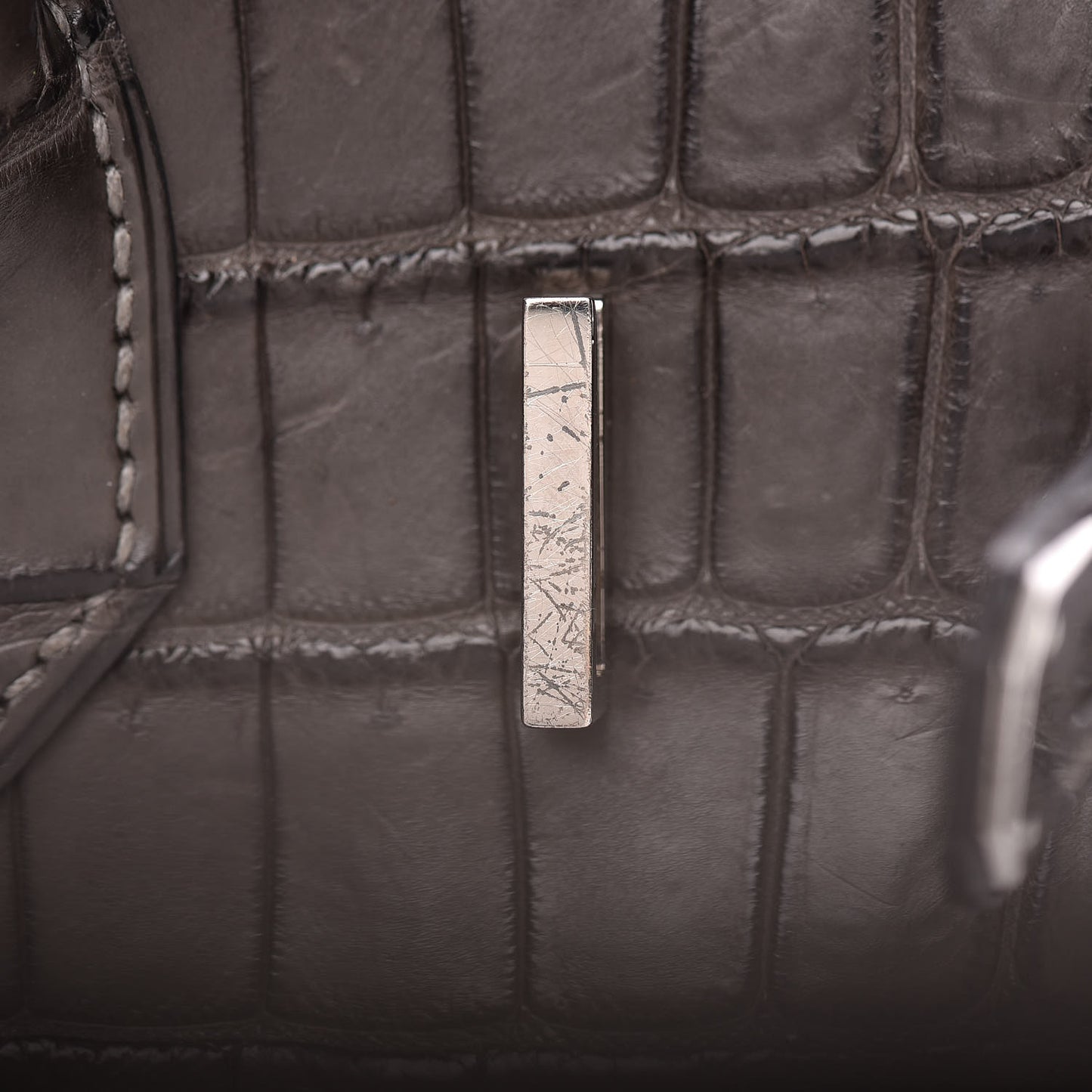 Matte Niloticus Crocodile Birkin 30 Gris Elephant