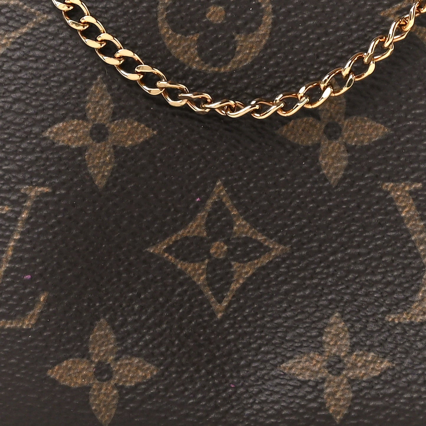 Monogram Mini Pochette Accessories