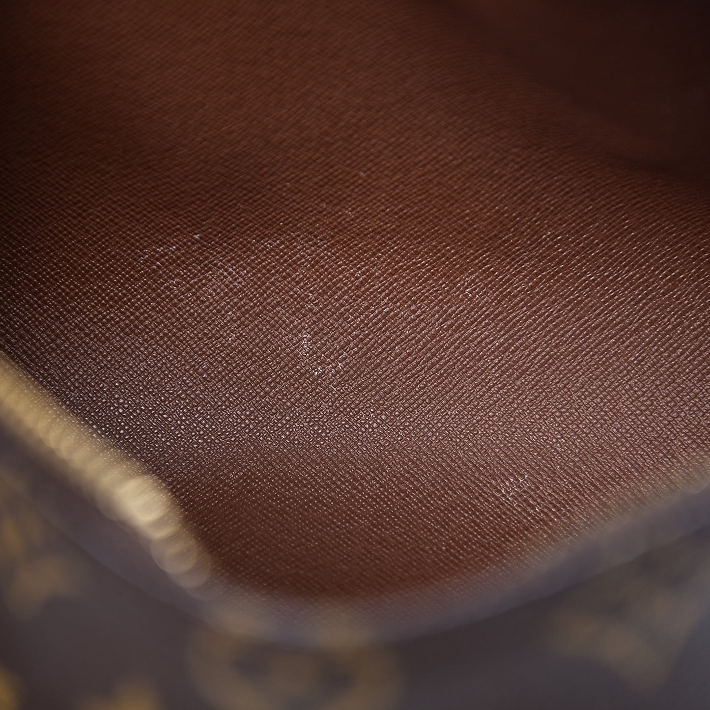 Monogram Papillon 26