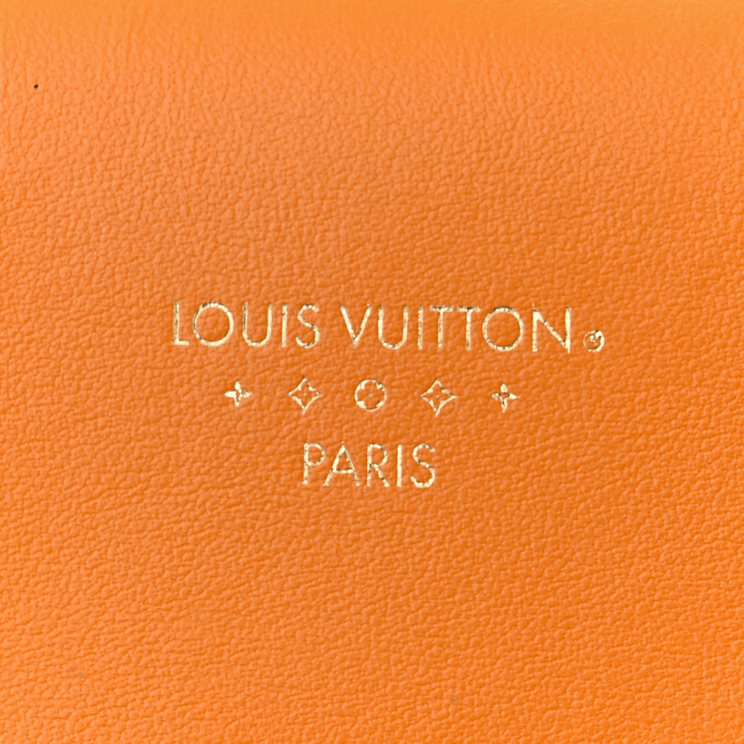 Louis Vuitton Smooth Calfskin LV Pont 9 Summer Gold 6 of 12