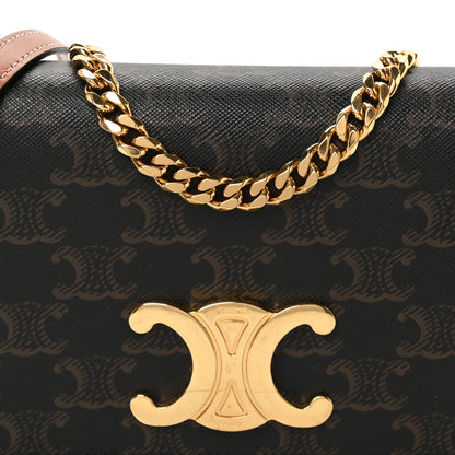 Celine Triomphe Canvas Multipochette Tan 9 of 12