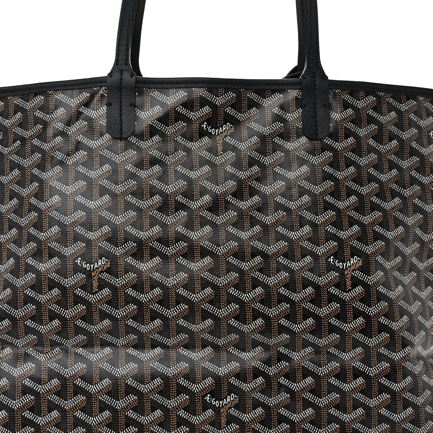 Goyard Goyardine Saint Louis PM Black 9 of 11