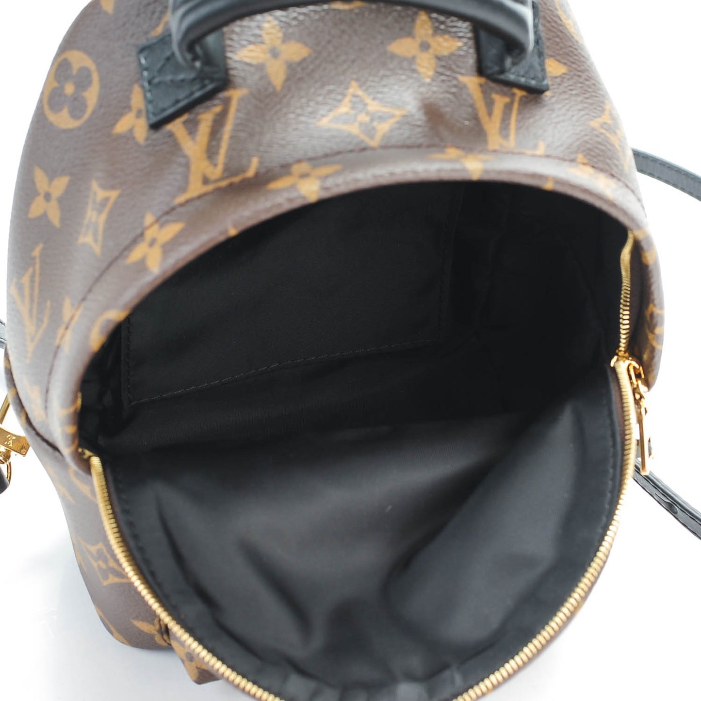 Monogram Palm Springs Backpack Mini