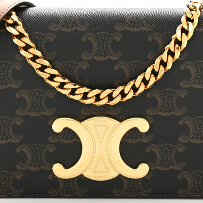 Celine Triomphe Canvas Multipochette Tan 7 of 9