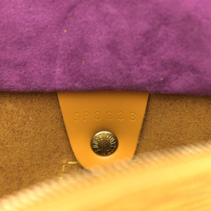 Louis Vuitton Epi Speedy 25 Tassil 6 of 10