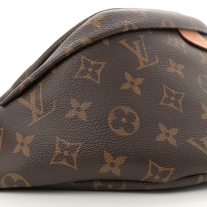 Louis Vuitton Monogram Bumbag 9 of 10