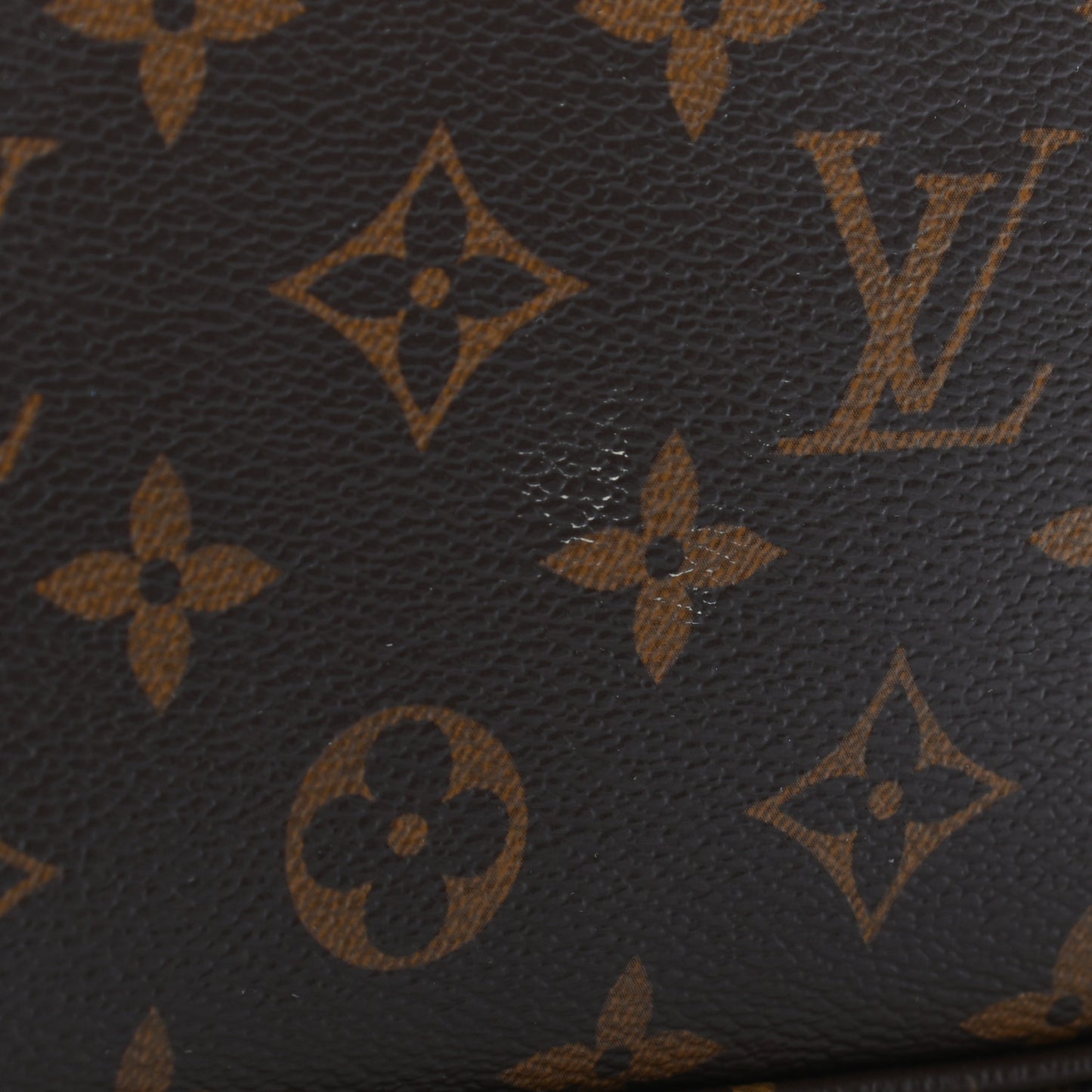 Monogram Multi Pochette Accessories