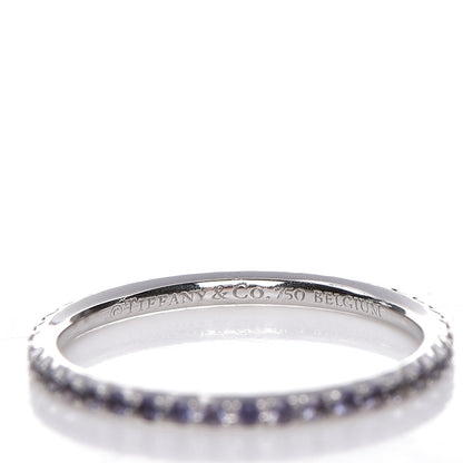 Tiffany 18K White Gold Iolite Metro Ring 4.5 3 of 3