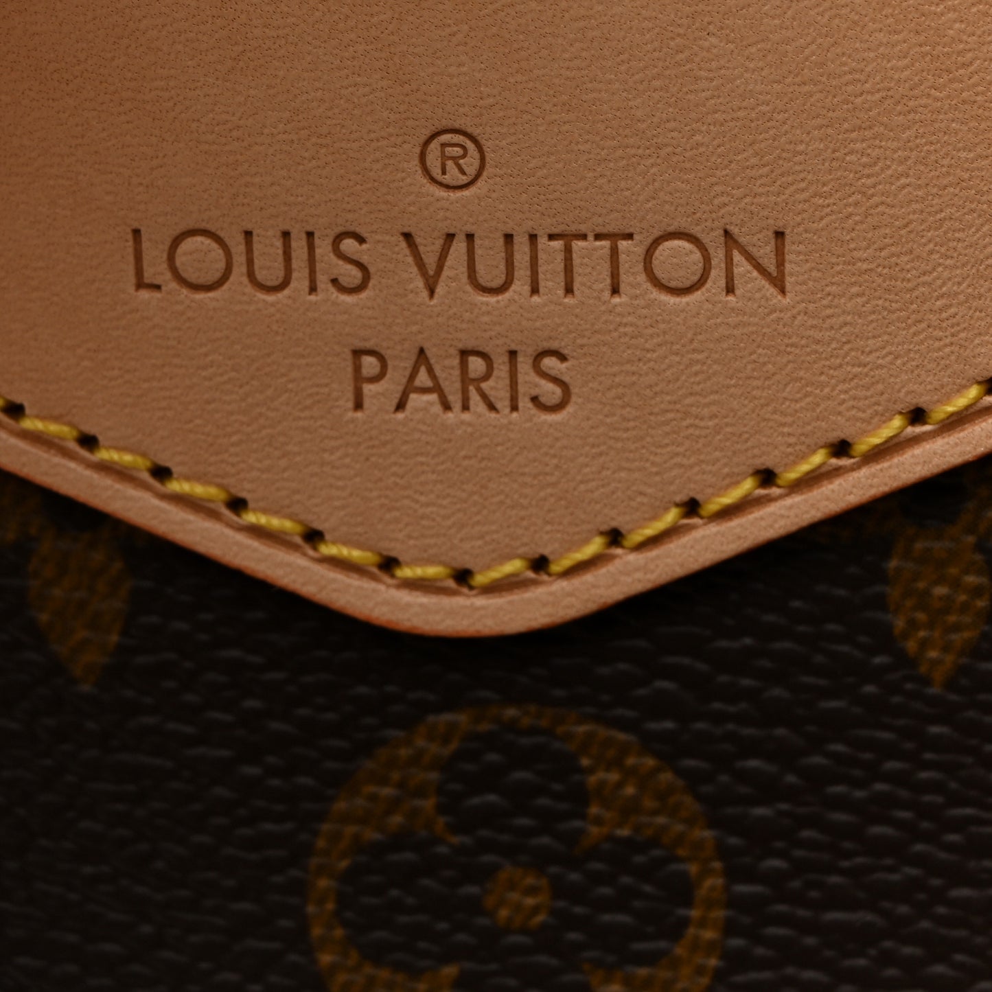 Monogram Montsouris PM Backpack