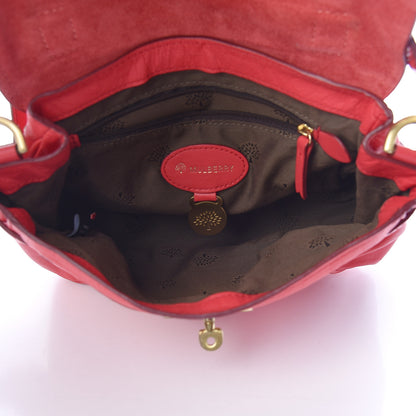 Mulberry Soft Buffalo Mini Alexa Watermelon 5 of 15