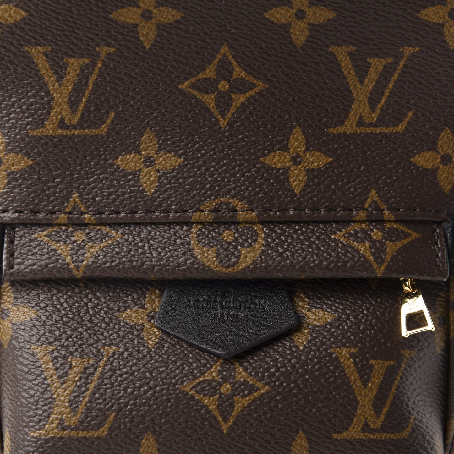 Monogram Palm Springs Backpack Mini
