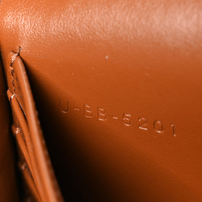 Celine Triomphe Canvas Lambskin Wallet On Strap Tan Tan 8 of 11