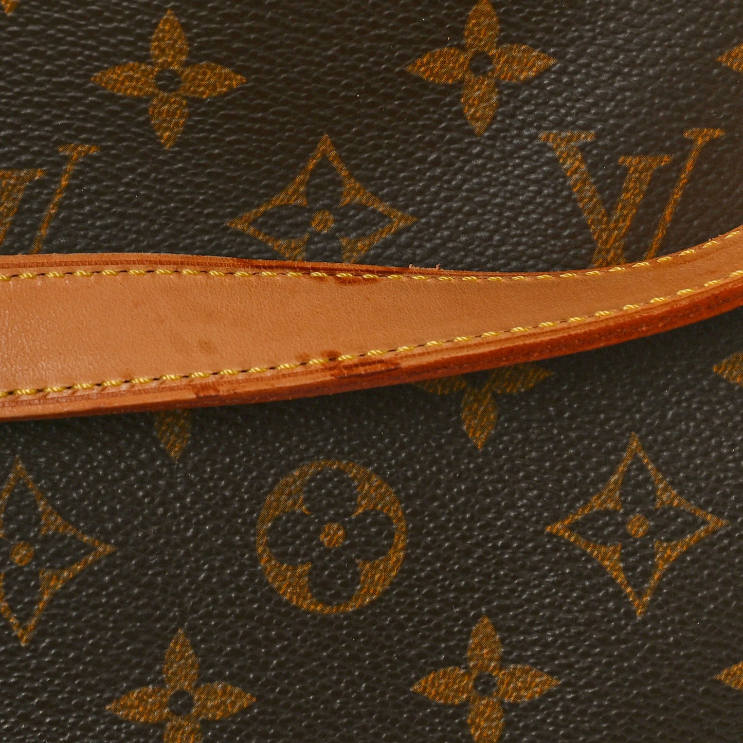 Monogram Cabas Mezzo