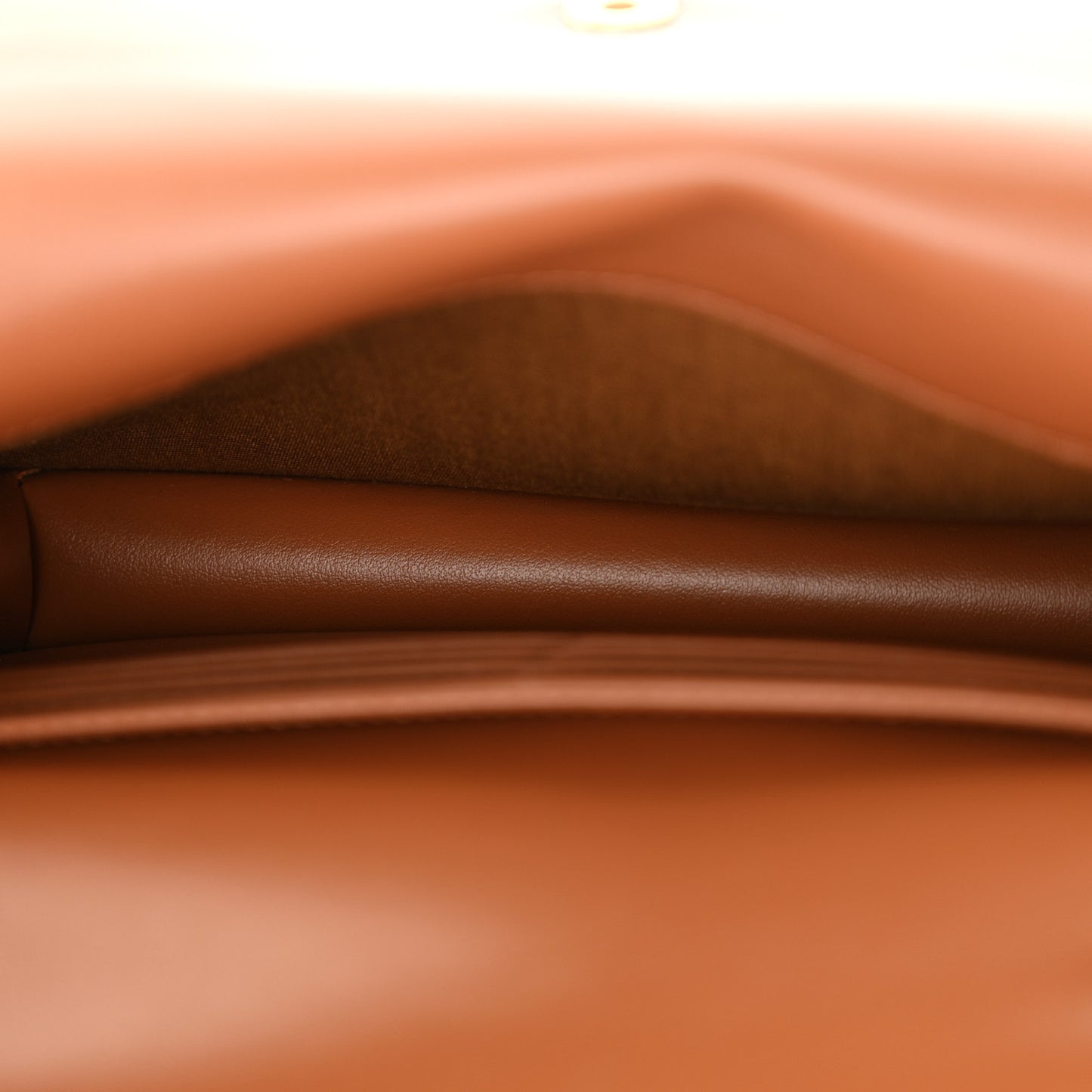 Triomphe Canvas Lambskin Wallet On Strap Tan