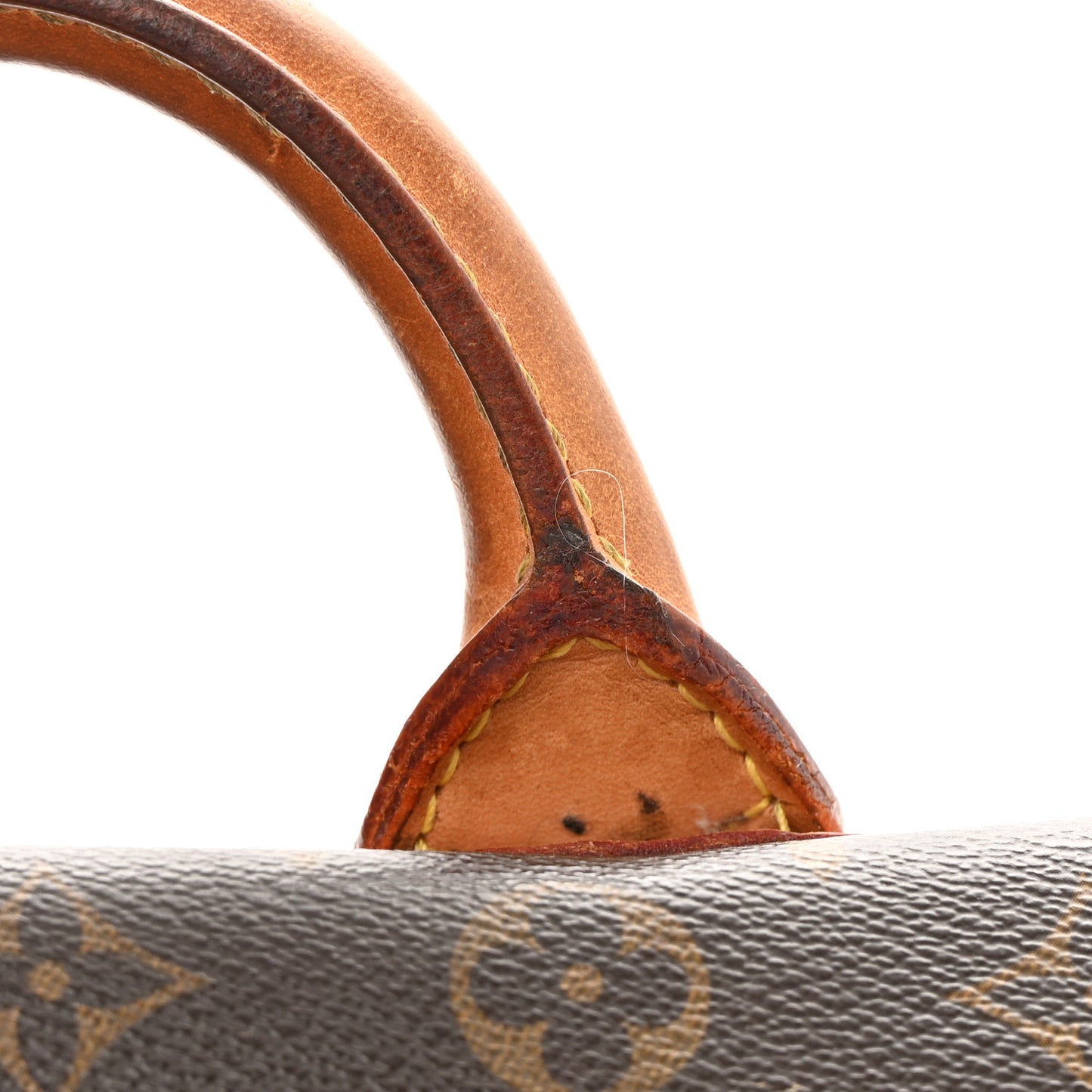 Monogram Eden MM Camel