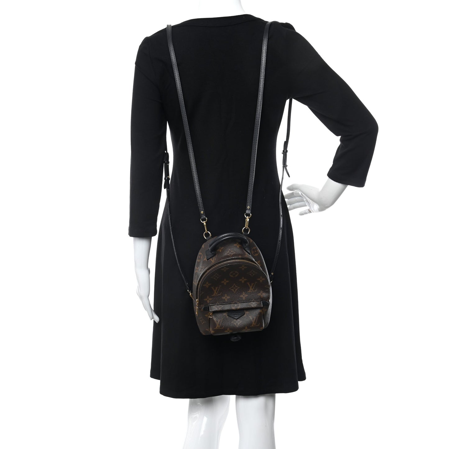 Monogram Palm Springs Backpack Mini