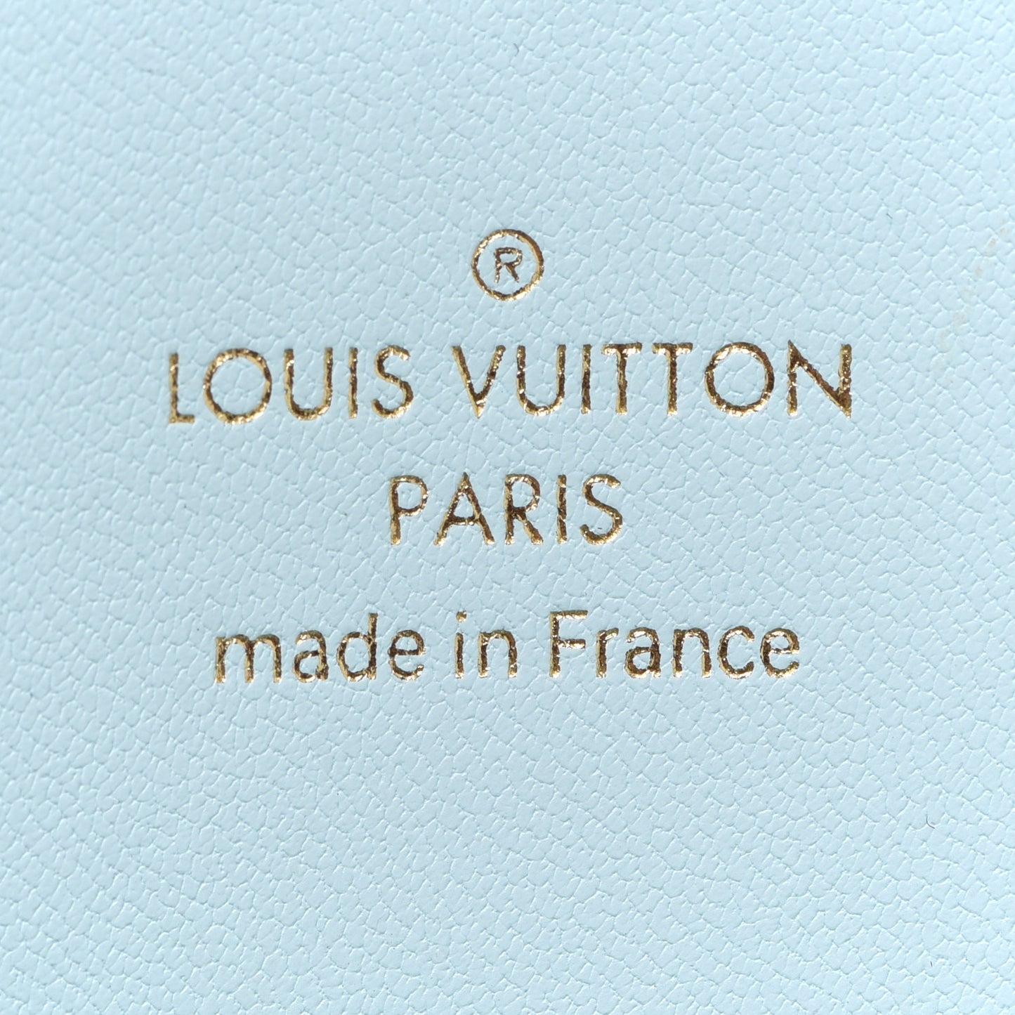 Monogram Giant By The Pool Medium Kirigami Pochette Insert Blue