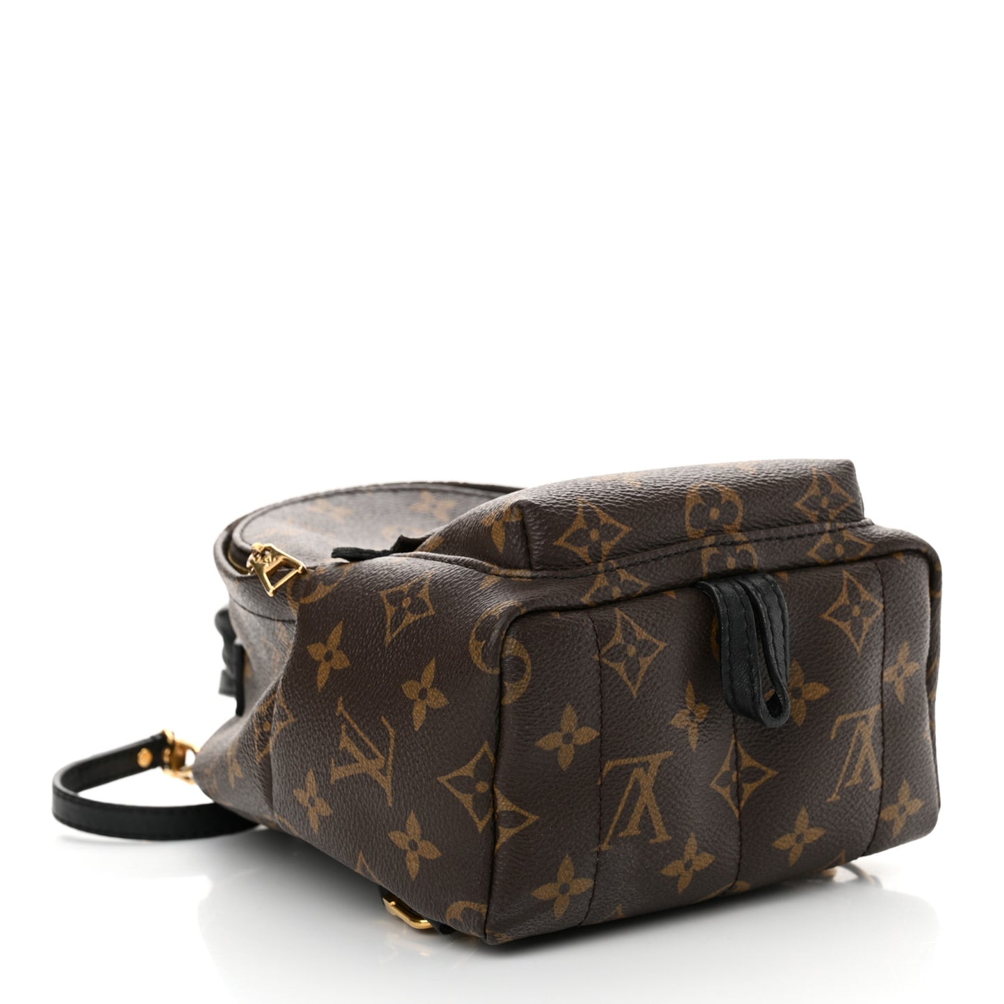 Monogram Palm Springs Backpack Mini