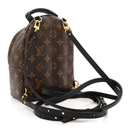 Louis Vuitton Monogram Palm Springs Backpack Mini 3 of 10