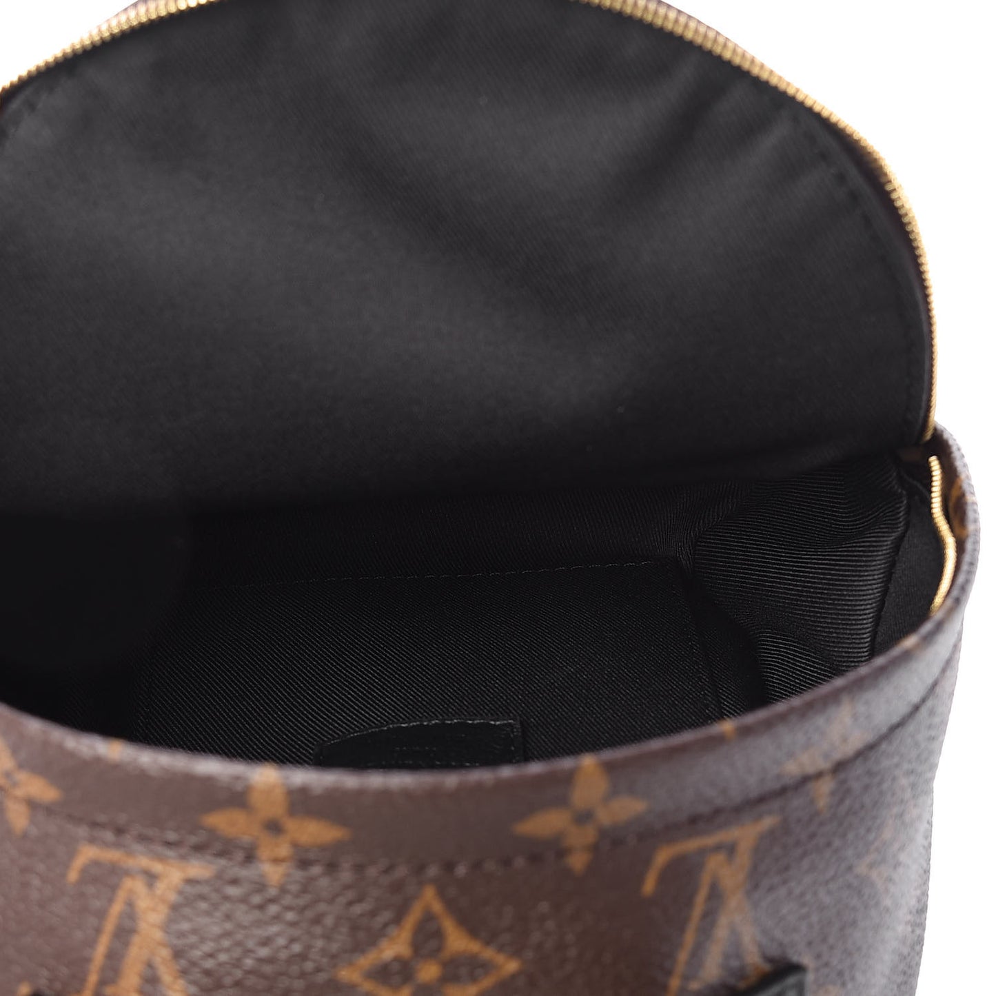 Monogram Palm Springs Backpack Mini