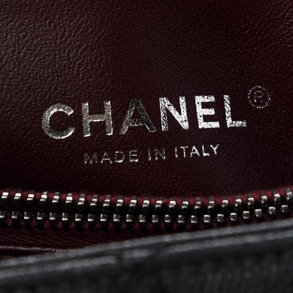 Chanel Caviar Lizard Quilted Small Coco Handle Flap Black 6 of 9