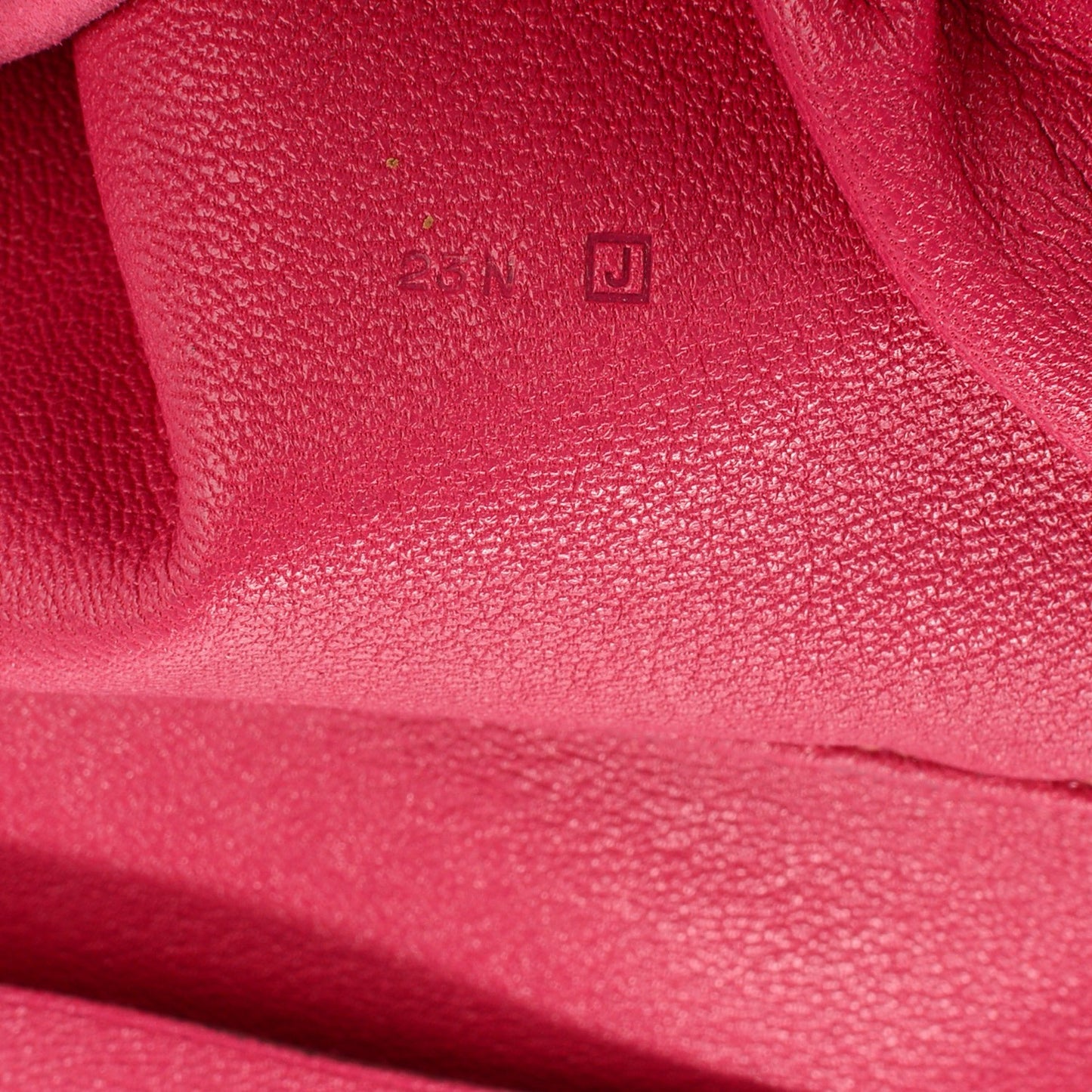Lizard Vision II Agenda Cover Fuschia
