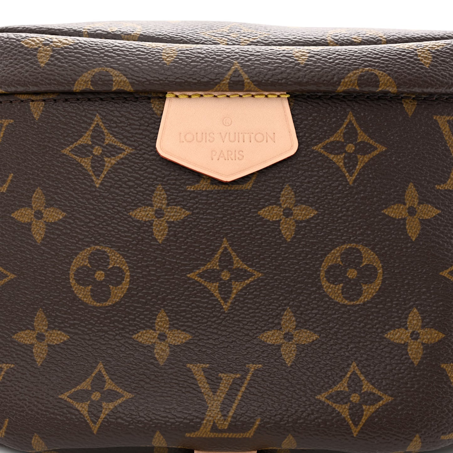 Monogram Bumbag