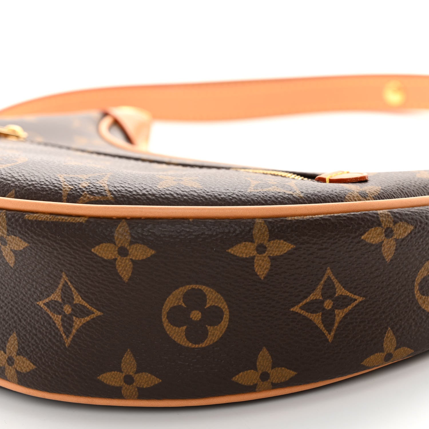 Louis Vuitton Monogram Loop 9 of 9