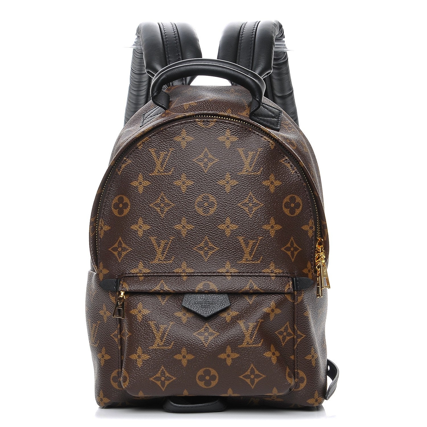 Louis Vuitton Monogram Palm Springs Backpack PM 1 of 8