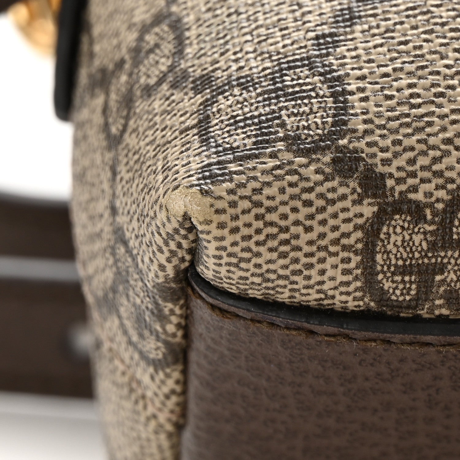 Gucci GG Supreme Monogram Textured Dollar Calfskin Web Small Ophidia Dome Shoulder Bag Beige Ebony New Acero 15 of 17