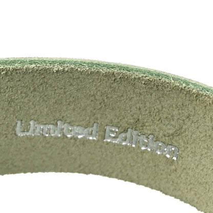 Christian Dior X BIRKENSTOCK Suede Calfskin Tokio Mule 41 Water Green 9 of 10