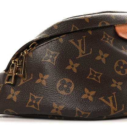 Louis Vuitton Monogram Bumbag 8 of 10