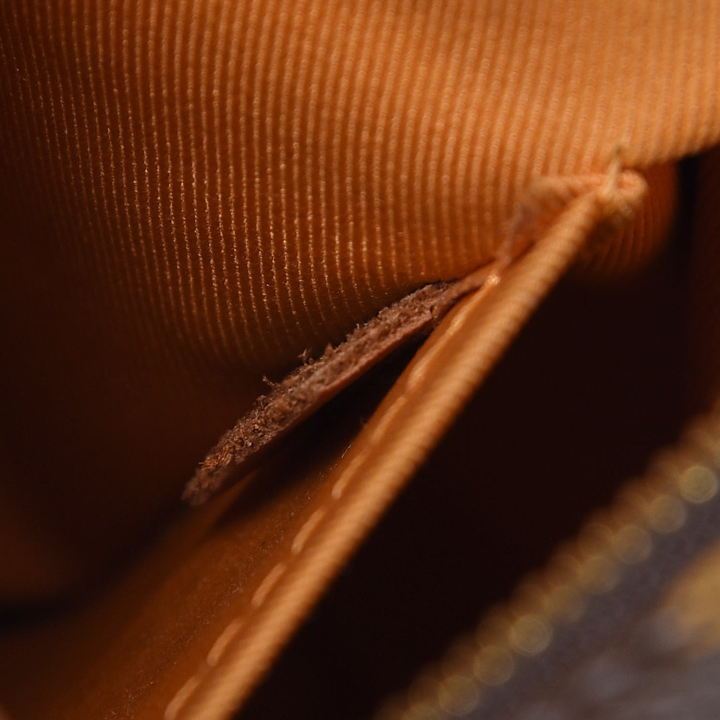 Monogram Manhattan NM Caramel