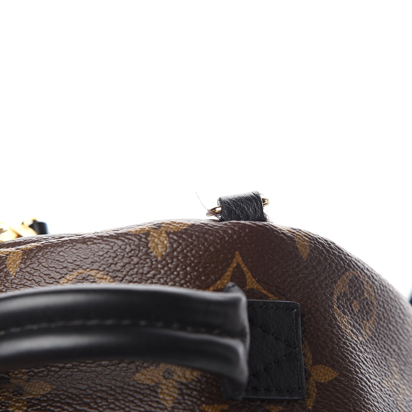 Monogram Palm Springs Backpack Mini