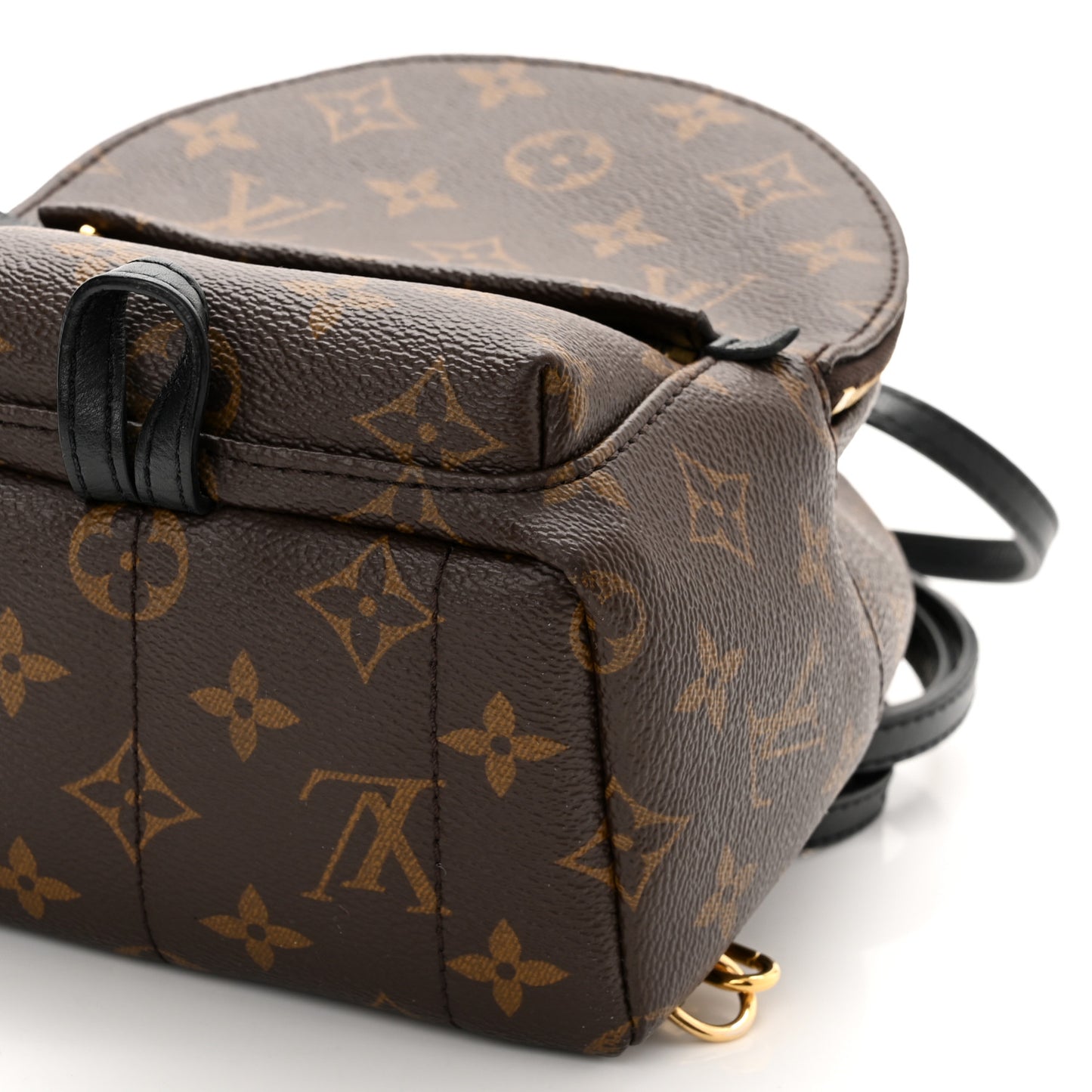 Monogram Palm Springs Backpack Mini