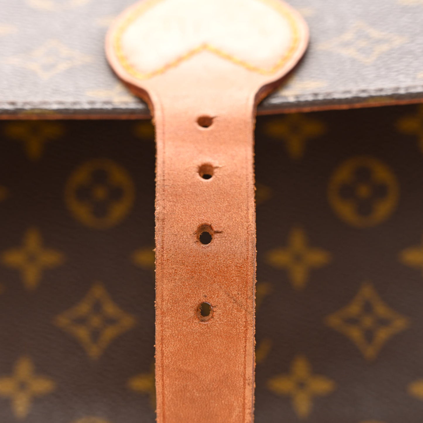 Monogram Cartouchiere 22