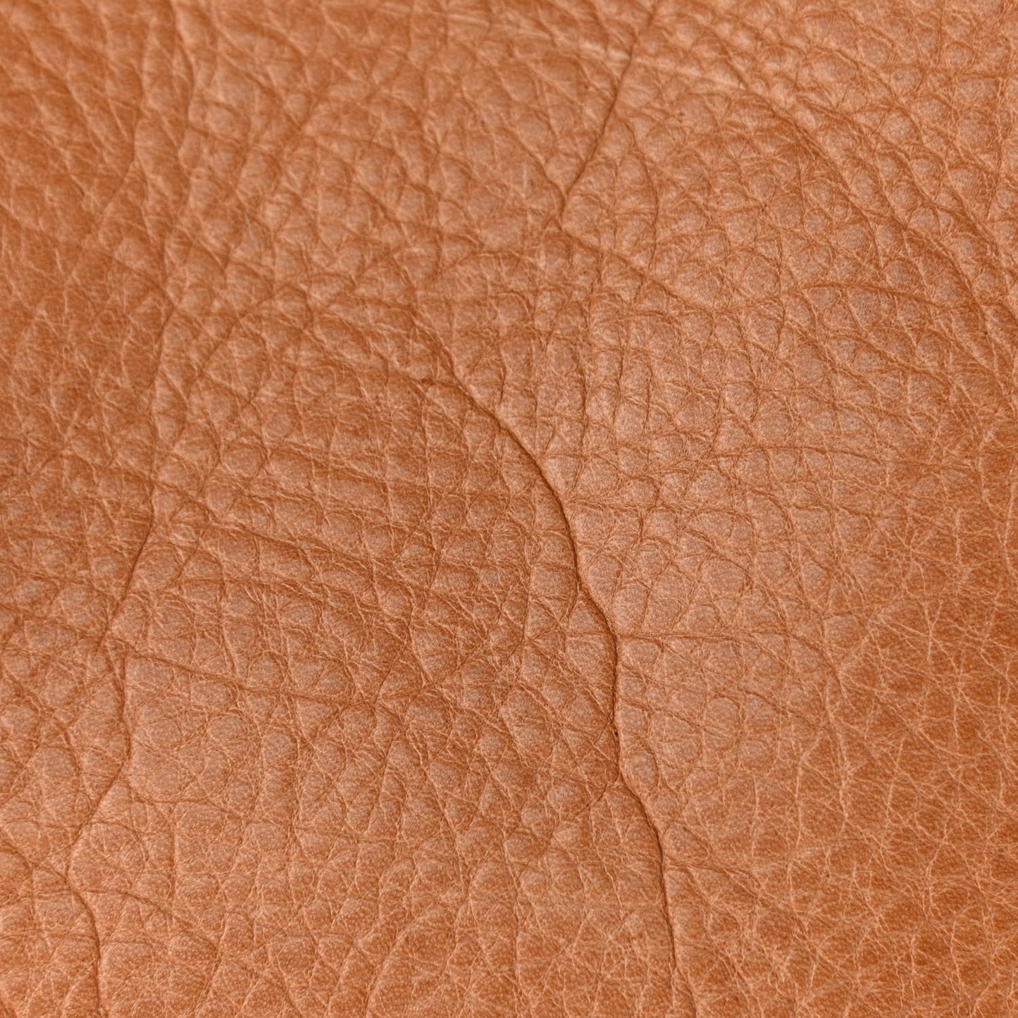 Grained Calfskin Tooled Darwin Bayswater Oak