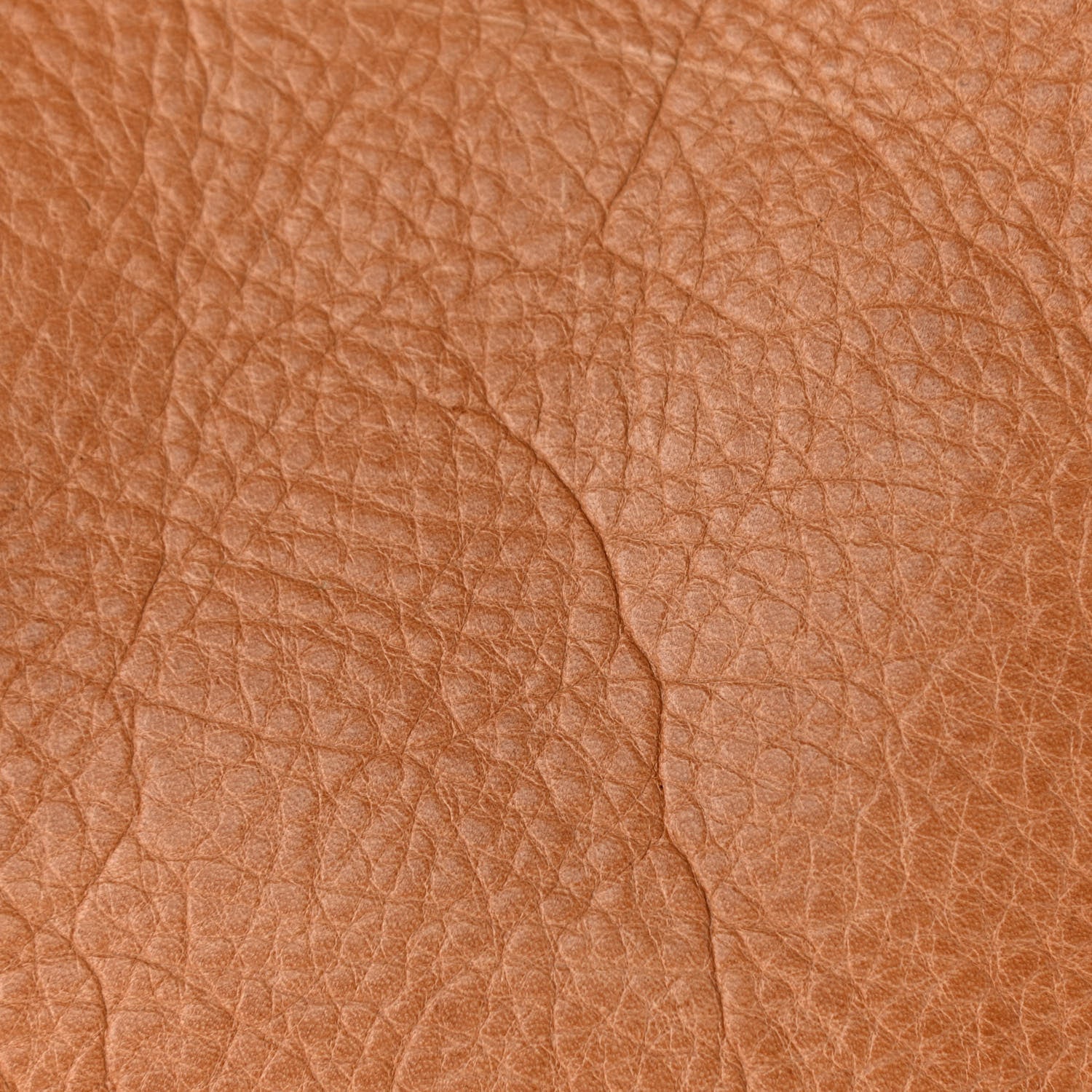 Mulberry Grained Calfskin Tooled Darwin Bayswater Oak 11 of 15