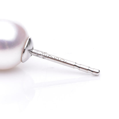 Mikimoto 18K White Gold Akoya Pearl 7mm Stud Earrings 3 of 6