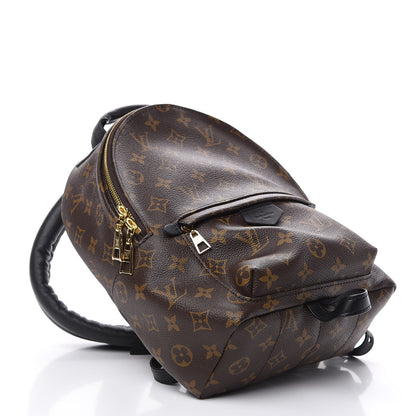 Louis Vuitton Monogram Palm Springs Backpack PM 3 of 9