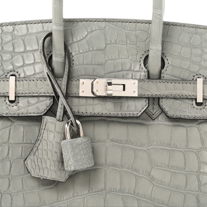Hermes Matte Alligator Birkin 25 Gris Ciment 8 of 11