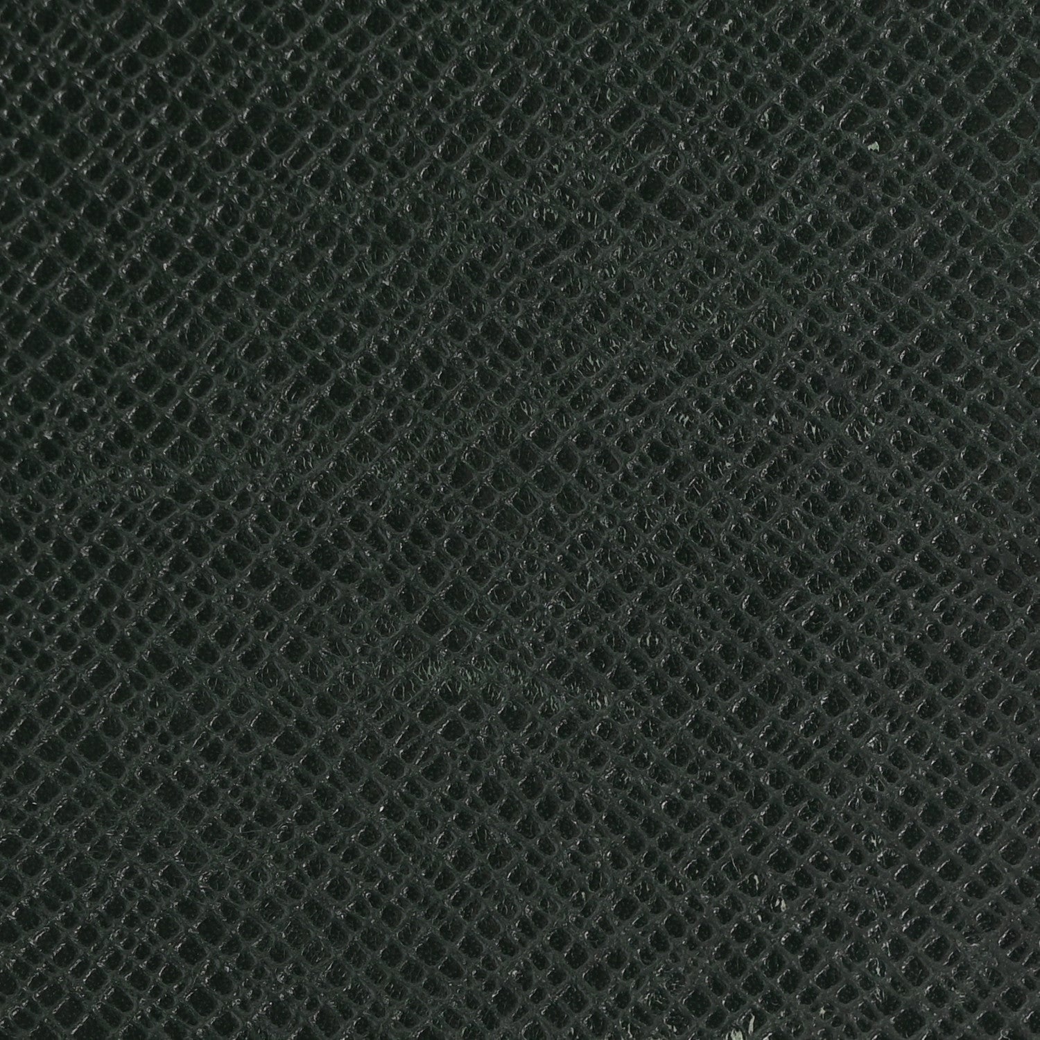 Louis Vuitton Taiga Medium Ring Agenda Cover Epicea 11 of 15