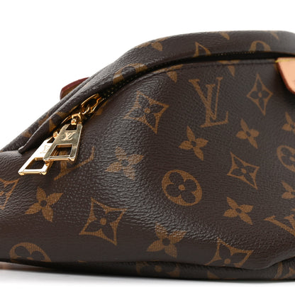 Louis Vuitton Monogram Bumbag 8 of 10