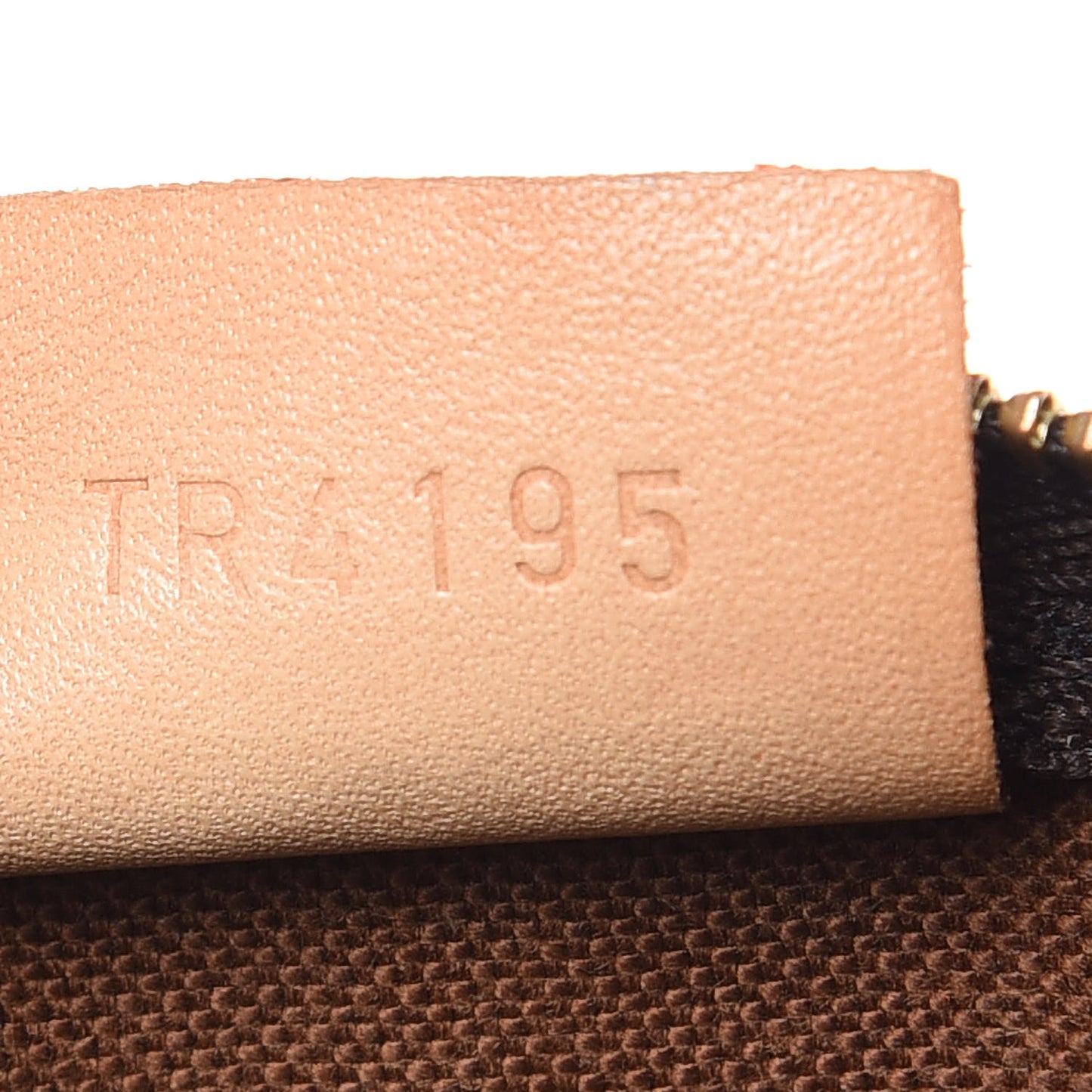 Monogram Nano Speedy